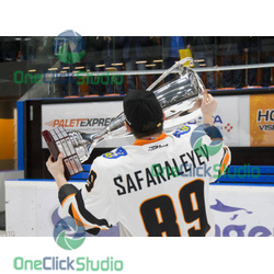 Igor Safaralejev
