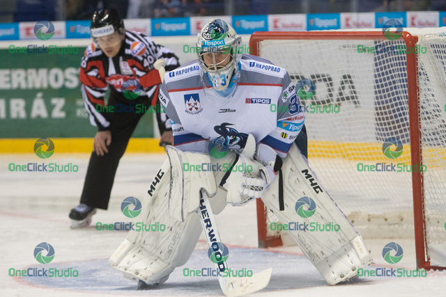 Tomáš Vošvrda