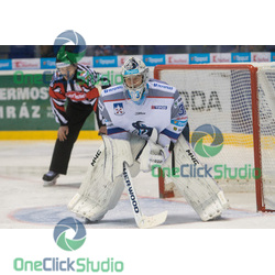 Tomáš Vošvrda