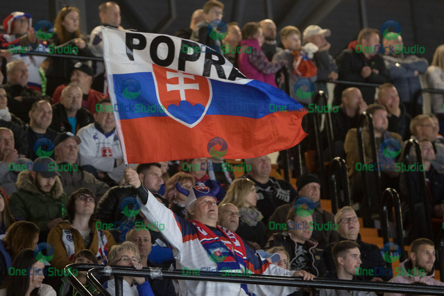 fanúšik Slovenska
