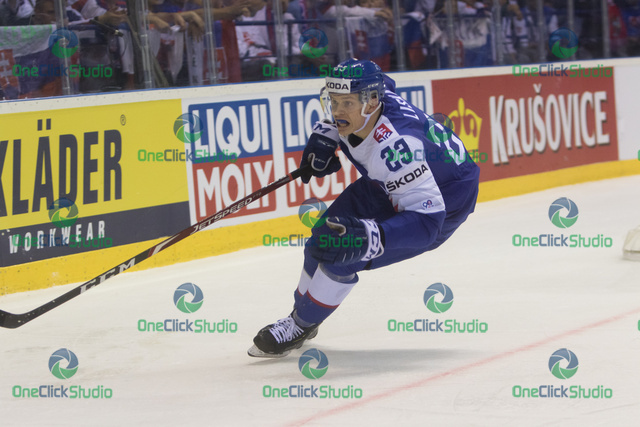 Adam Liška (2)