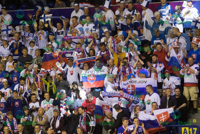 fans Slovenska (2)