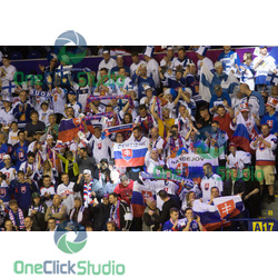 fans Slovenska (2)