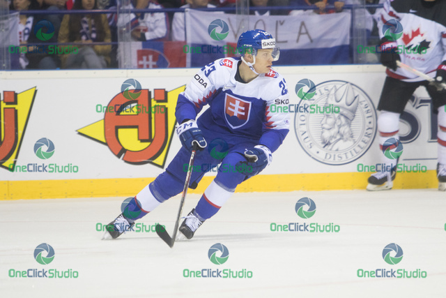 Adam Liška (3)