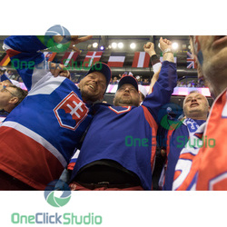 fans Slovenska