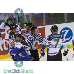 Liška, Stecher, Couturier