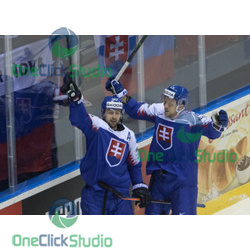 Tomáš Tatar a Michal Krištof