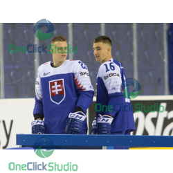 Liška a Lantoši