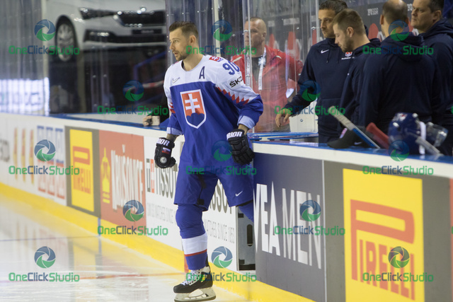 Tomáš Tatar (2)