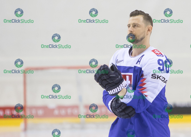 Tomáš Tatar