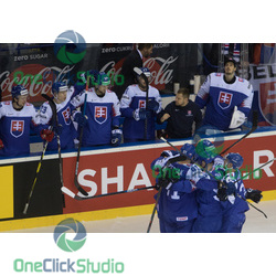Slovensko po góle