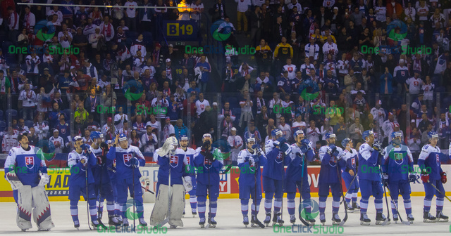Slovensko po prehre