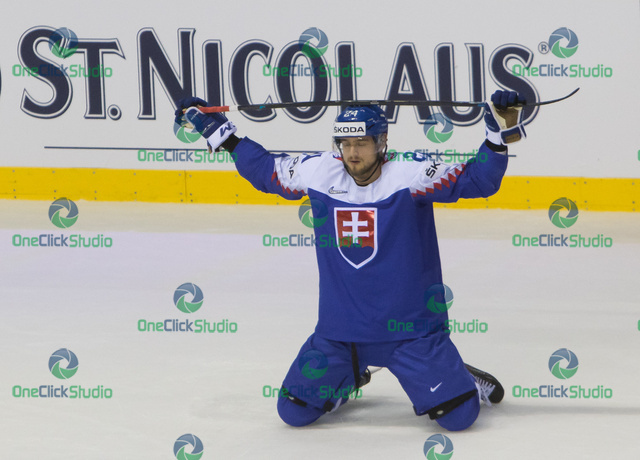 Tomáš Zigo