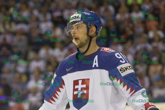 Tomáš Tatar (2)