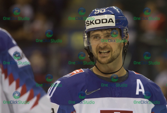 Tomáš Tatar (3)