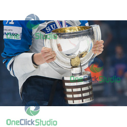 Trofej majstra sveta