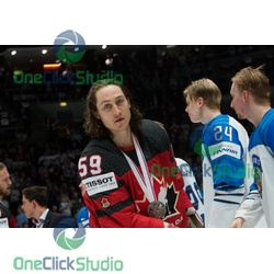 Tyler Bertuzzi