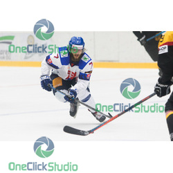Alexander Hvizdoš (2)