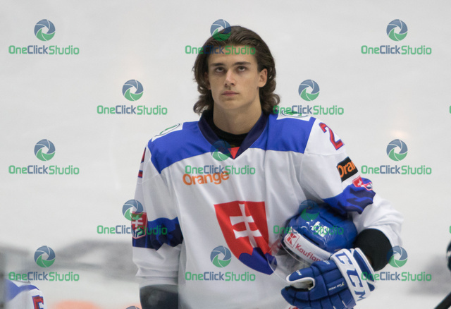 Samuel Hlavaj (8)