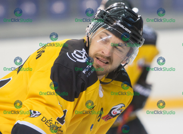 Radomír Heizer