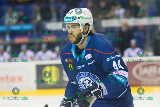Mitch Versteeg