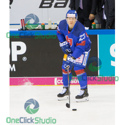 adam Liška (3)