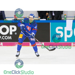 Adam Liška (4)