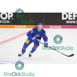 Adam Liška (5)