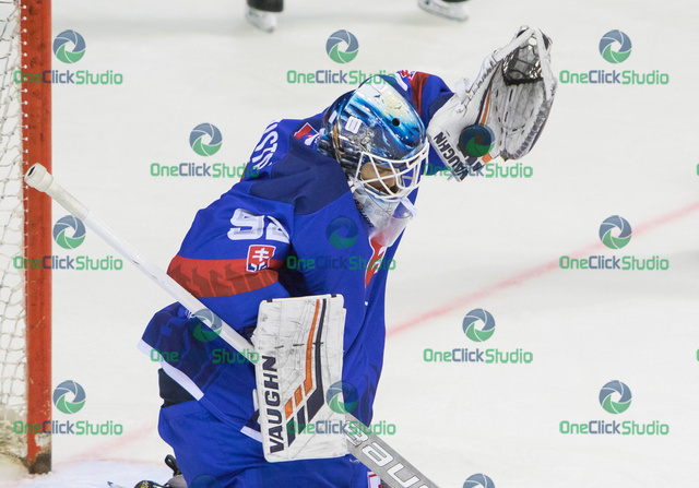 Andrej Košarišťan (5)