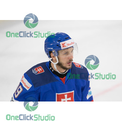 Tomáš Matoušek