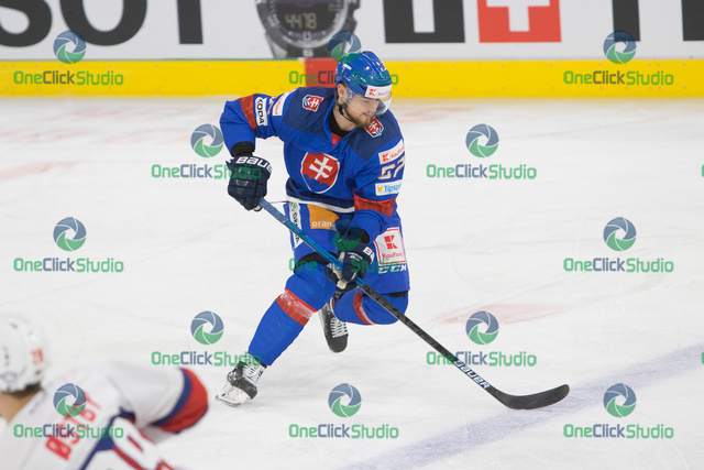 Tomáš Zigo (2)