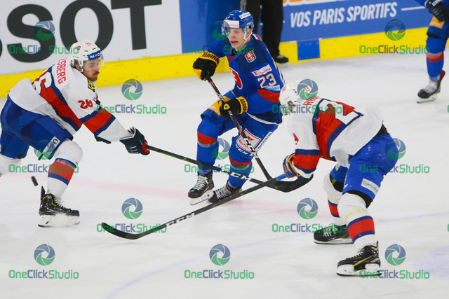 Forsberg, Liška