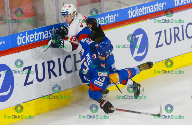 Puliš, Pedersen