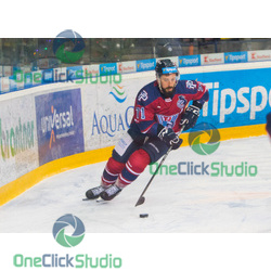 Patrik Svitana (3)
