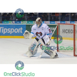 Matej Gajan (2)
