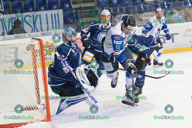 cowley - skokan