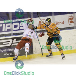 Flick - Belluš