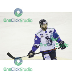 steven seigo (2)