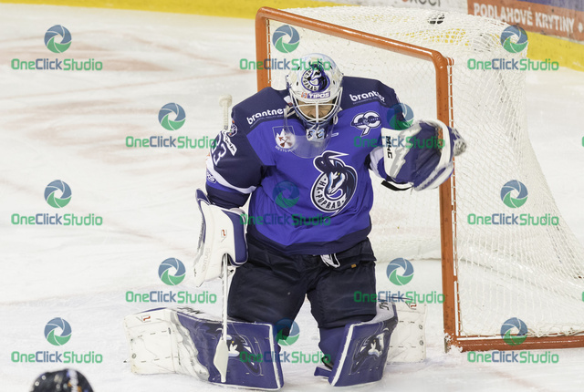 tomáš vošvrda (2)