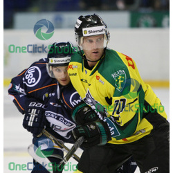 frolik palovcik