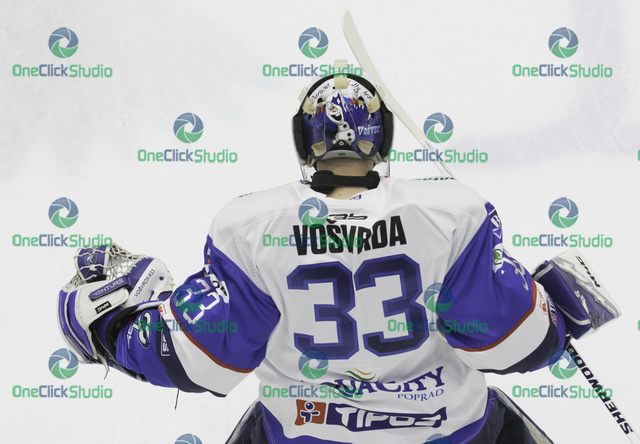 Tomáš Vošvrda (2)