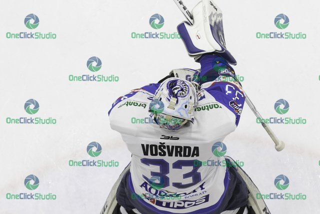 tomáš vošvrda (7)