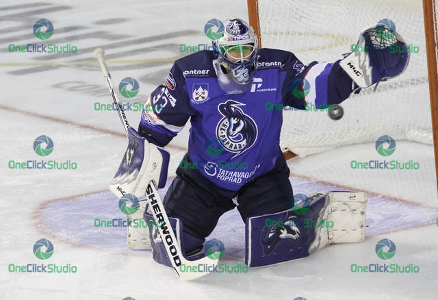 tomáš vošvrda