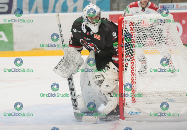 filip belányi (2)