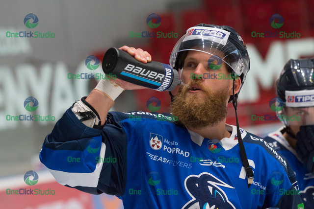 mike dalhuisen