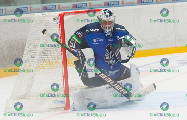 tomáš tomek (6)