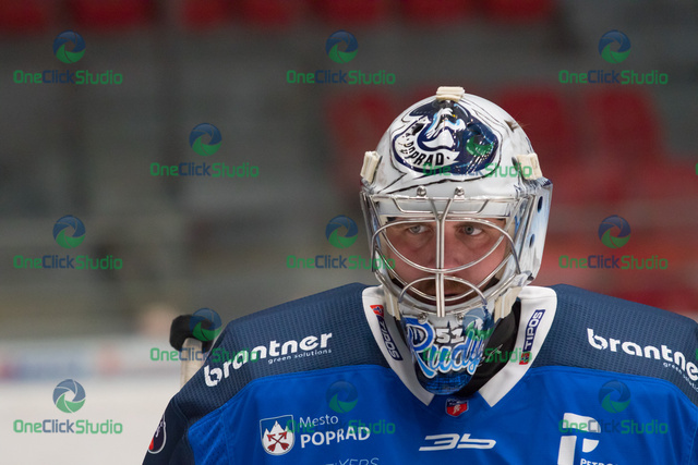 tomáš tomek