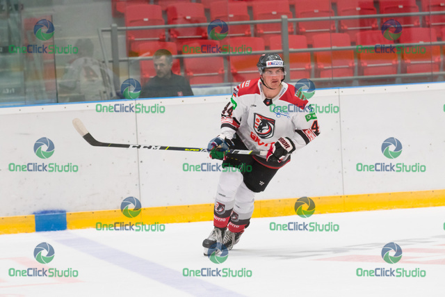 viktor fekiač (2)