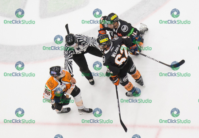 žitný a wehrs