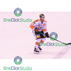 radek deyl